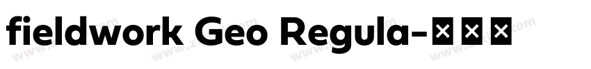 fieldwork Geo Regula字体转换